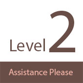 Level 2 Graphic
